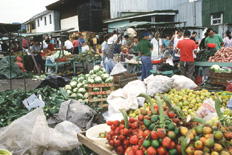 markt san jose