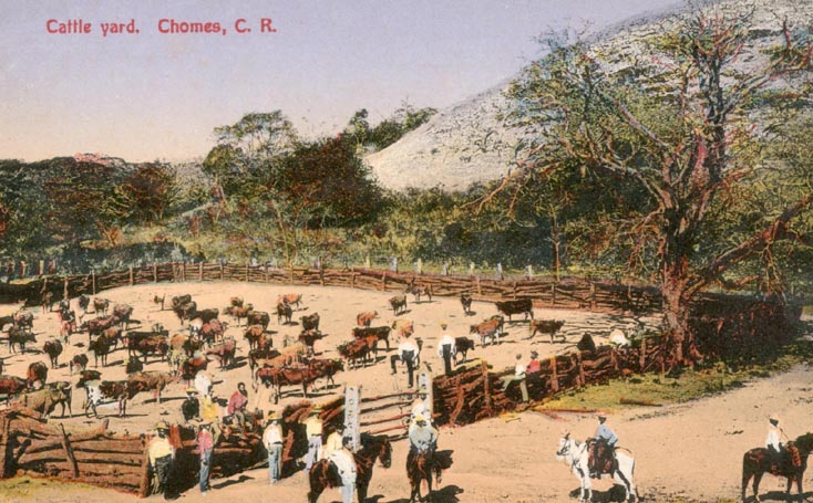 Costa Rica : Enclos à bétail, Chomes - Carte postale colorisée ...